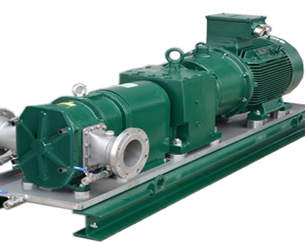 廣州轉(zhuǎn)子泵 廣州轉(zhuǎn)子泵