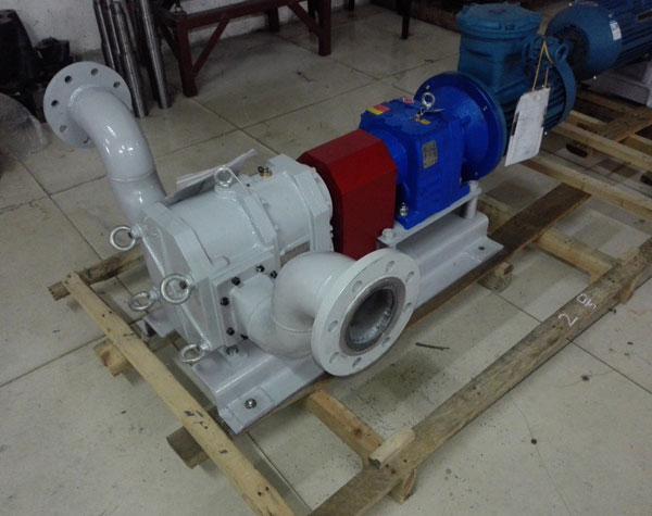 不銹鋼轉(zhuǎn)子泵日常維護保養(yǎng)需要注意哪些問題呢?