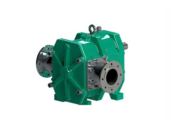 凸輪轉(zhuǎn)子泵有著哪一些特點(diǎn)?能夠用多少年