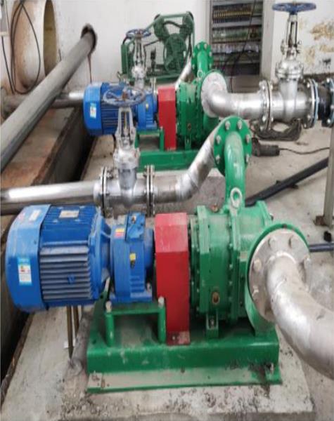 豬糞轉(zhuǎn)子泵是否會在運(yùn)行時(shí)頻繁堵塞