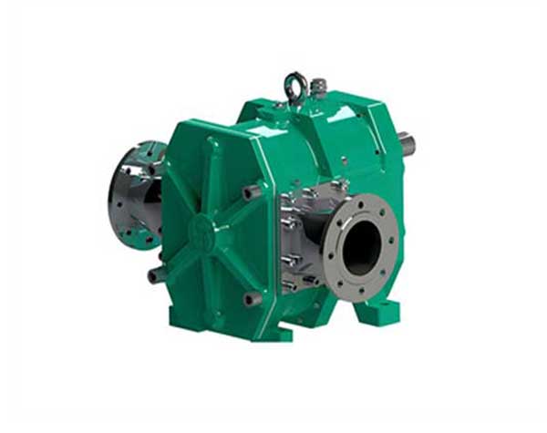 轉(zhuǎn)子泵 轉(zhuǎn)子泵